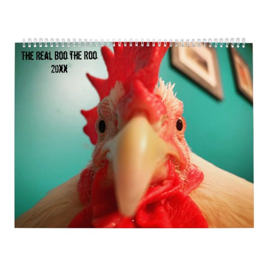 Real Boo the Roo 2020 Calendar Kalender (Hoes)