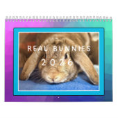 REAL BUNIES 2026 KALENDER (Hoes)