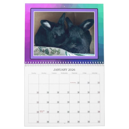 REAL BUNIES 2026 KALENDER (Jan 2026)