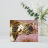 Real Cat, Fake Cat Briefkaart (Staand voorkant)