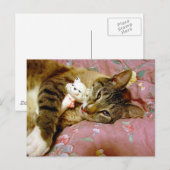 Real Cat, Fake Cat Briefkaart (Voorkant / Achterkant)