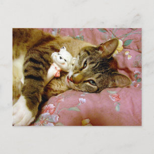 Real Cat, Fake Cat Briefkaart