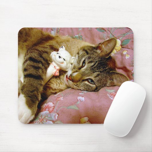 Real Cat, Fake Cat Muismat (Met muis)