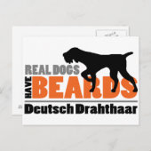 Real Dogs have Beards - Deutsch Drahthaar Briefkaart (Voorkant / Achterkant)