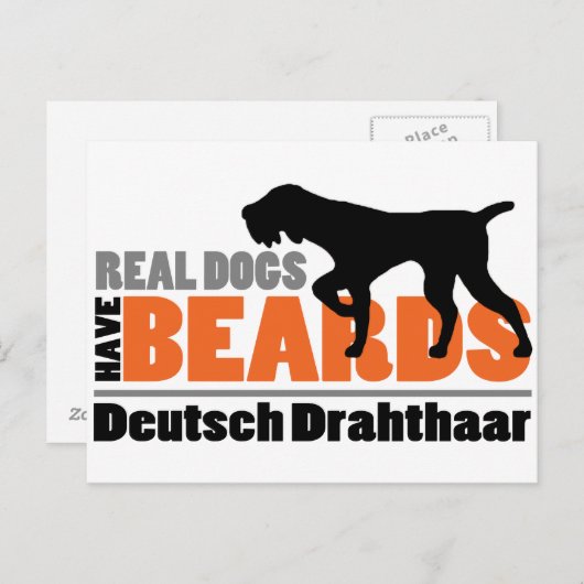 Real Dogs have Beards - Deutsch Drahthaar Briefkaart (Voorkant / Achterkant)