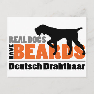 Real Dogs have Beards - Deutsch Drahthaar Briefkaart