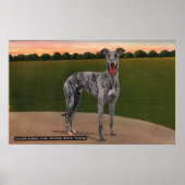 REAL HUNTSMAN Famous Greyhound Dog Poster (Voorkant)