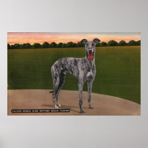 REAL HUNTSMAN Famous Greyhound Dog Poster
