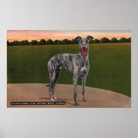 REAL HUNTSMAN Famous Greyhound Dog Poster (Voorkant)