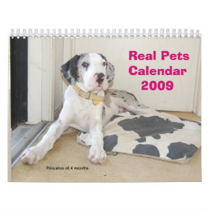 Real Pets 2009 Calendar Kalender
