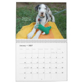 Real Pets 2009 Calendar Kalender (Jan 2027)