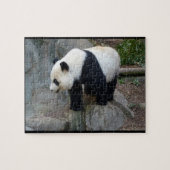 Real Photo Panda Beer Jigzaag Puzzle Legpuzzel (Horizontaal)
