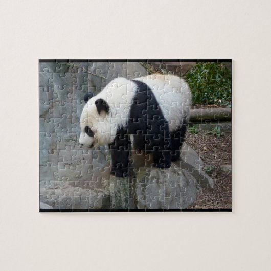 Real Photo Panda Beer Jigzaag Puzzle Legpuzzel (Horizontaal)
