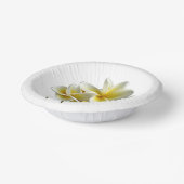 Real Plumeria Frangipani Flowers Papieren Kommen (Gebogen)