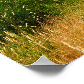 Real Portugal-Madeira Poster (Hoek)