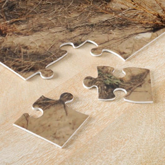 Real Portugal — Room with a Uitzicht — Lagos Legpuzzel (Zijkant)