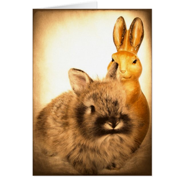 Real Rabbit en Fake Rabbit (Voorkant)