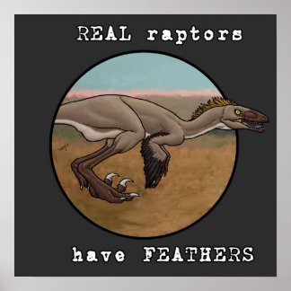 Real Raptors Poster