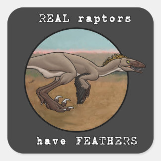 Real Raptors Vierkante Sticker