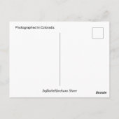 Real Roadrunner Briefkaart (Achterkant)