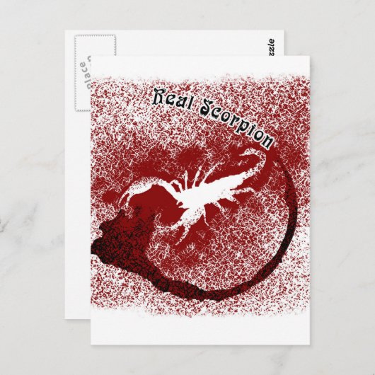 Real Scorpion Briefkaart (Voorkant / Achterkant)