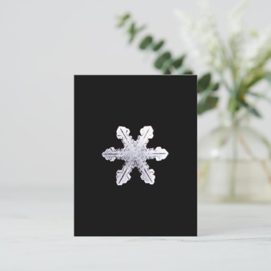 Real Snowflake Afbeelding Briefkaart (Staand voorkant)