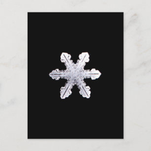 Real Snowflake Afbeelding Briefkaart