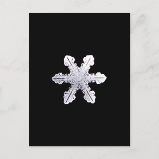 Real Snowflake Afbeelding Briefkaart (Voorkant)