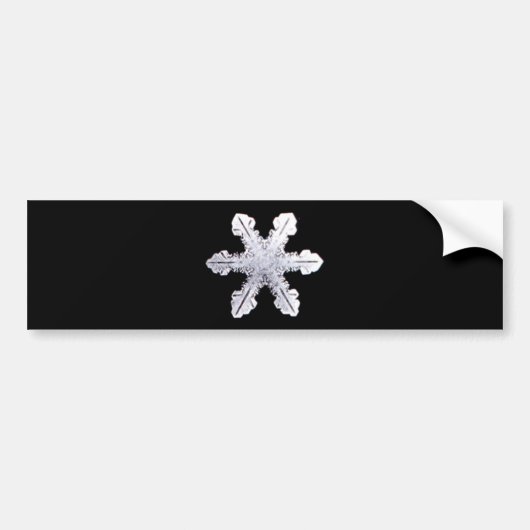Real Snowflake Afbeelding Bumpersticker (Voorkant)