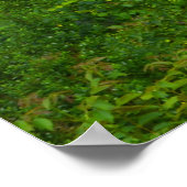 Real Spain Cantabria Poster (Hoek)