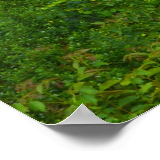 Real Spain Cantabria Poster (Hoek)