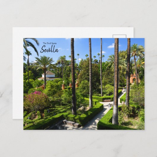 Real Spanje — Sevilla Briefkaart (Voorkant / Achterkant)