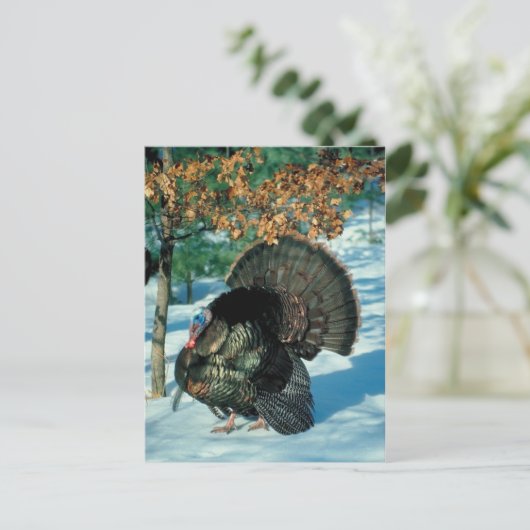 Real Turkey Snowy Forest Kerstmis Feestdagen (Staand voorkant)