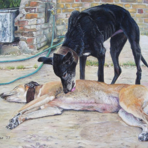 realist van de windhond - dierlijk afbeelding legpuzzel