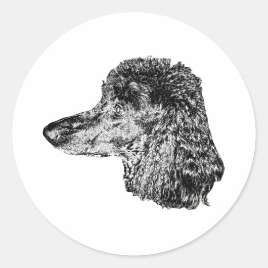 Realistic Dog Sticker – Detailed Head Portrait (Voorkant)