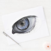 Realistic Eye Sticker (Envelop)