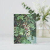 Realistic Grape Vine with Leaves – Fine Art Briefkaart (Staand voorkant)