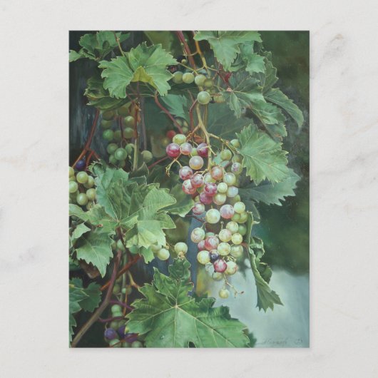 Realistic Grape Vine with Leaves – Fine Art Briefkaart (Voorkant)