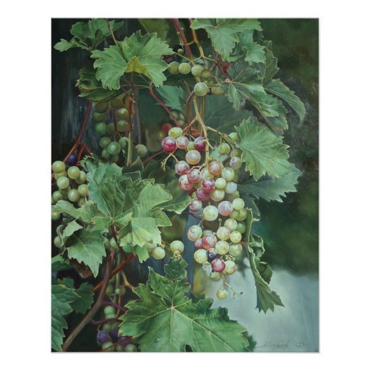 Realistic Grape Vine with Leaves – Fine Art Perfect Poster (Voorkant)