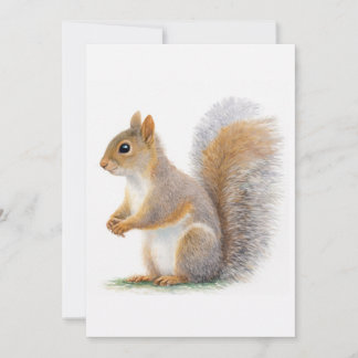 Realistic Squirrel Portrait Kaart