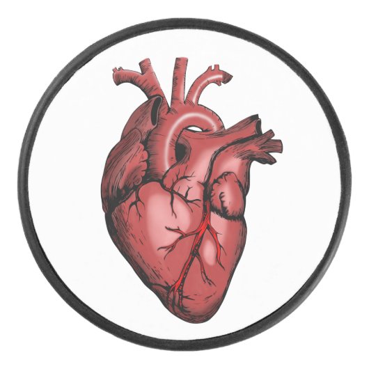 Realistisch anatomisch Afbeelding Hockey Puck (Voorkant)