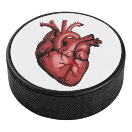 Realistisch anatomisch Afbeelding Hockey Puck