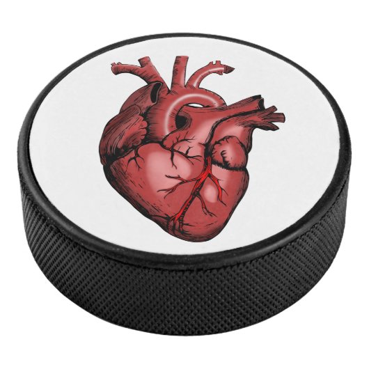 Realistisch anatomisch Afbeelding Hockey Puck (3/4)