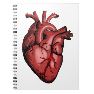 Realistisch Anatomisch Afbeelding van het hart Notitieboek
