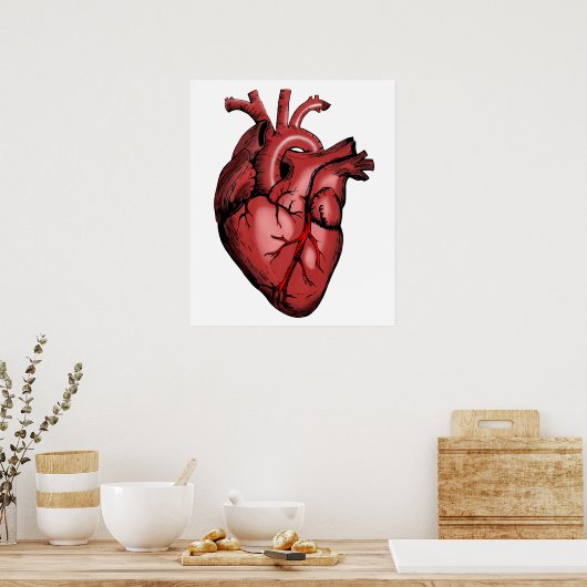 Realistisch Anatomisch Afbeelding van het hart Poster (Keuken)