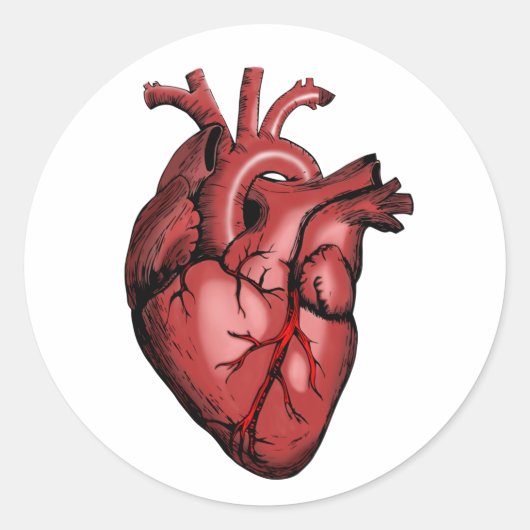 Realistisch Anatomisch Afbeelding van het hart Ronde Sticker (Voorkant)
