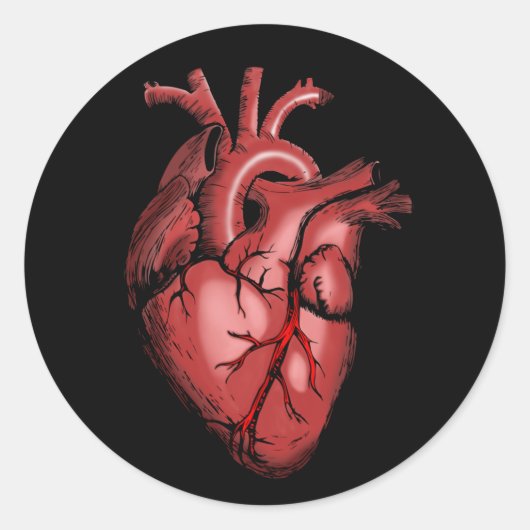 Realistisch Anatomisch Afbeelding van het hart Ronde Sticker (Voorkant)