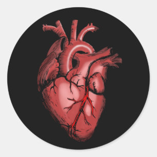 Realistisch Anatomisch Afbeelding van het hart Ronde Sticker