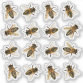 Realistisch bezoek van de imker van Honeybee Sticker (Voorkant)