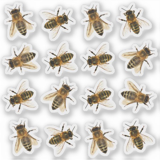 Realistisch bezoek van de imker van Honeybee Sticker (Voorkant)